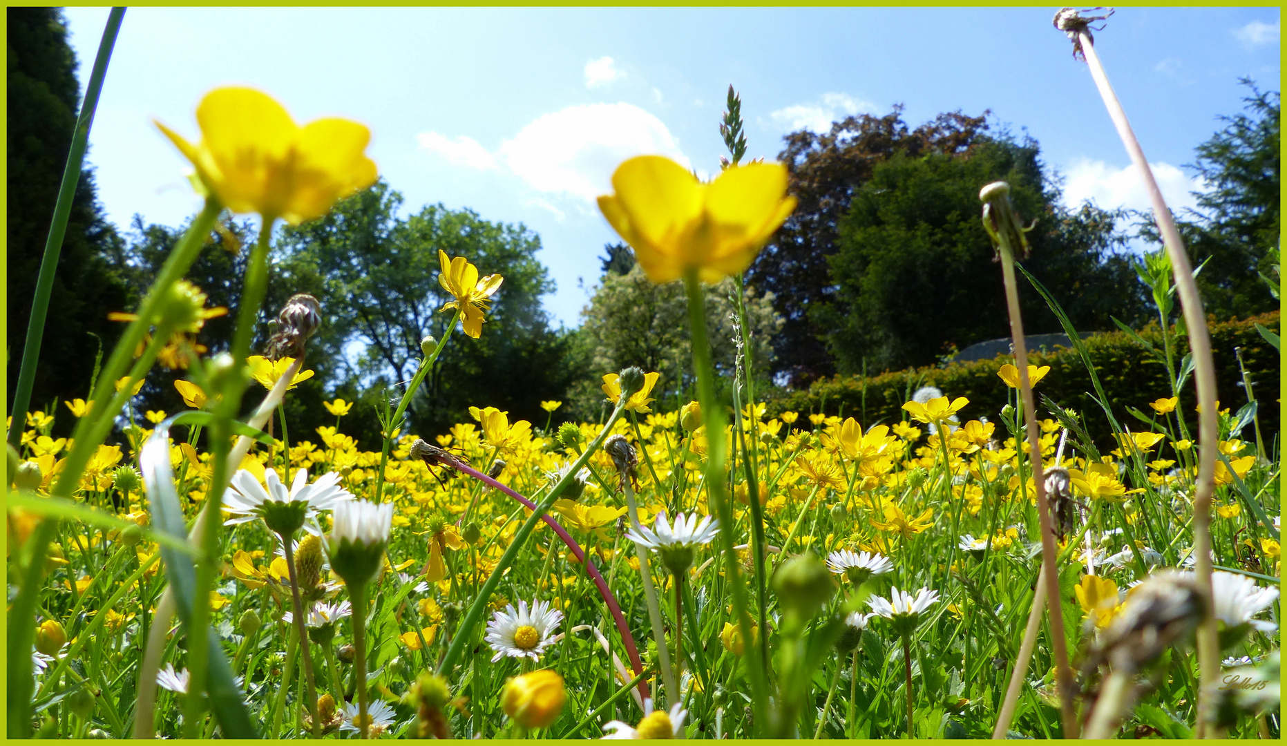 Ein sonniger Sonntag ...