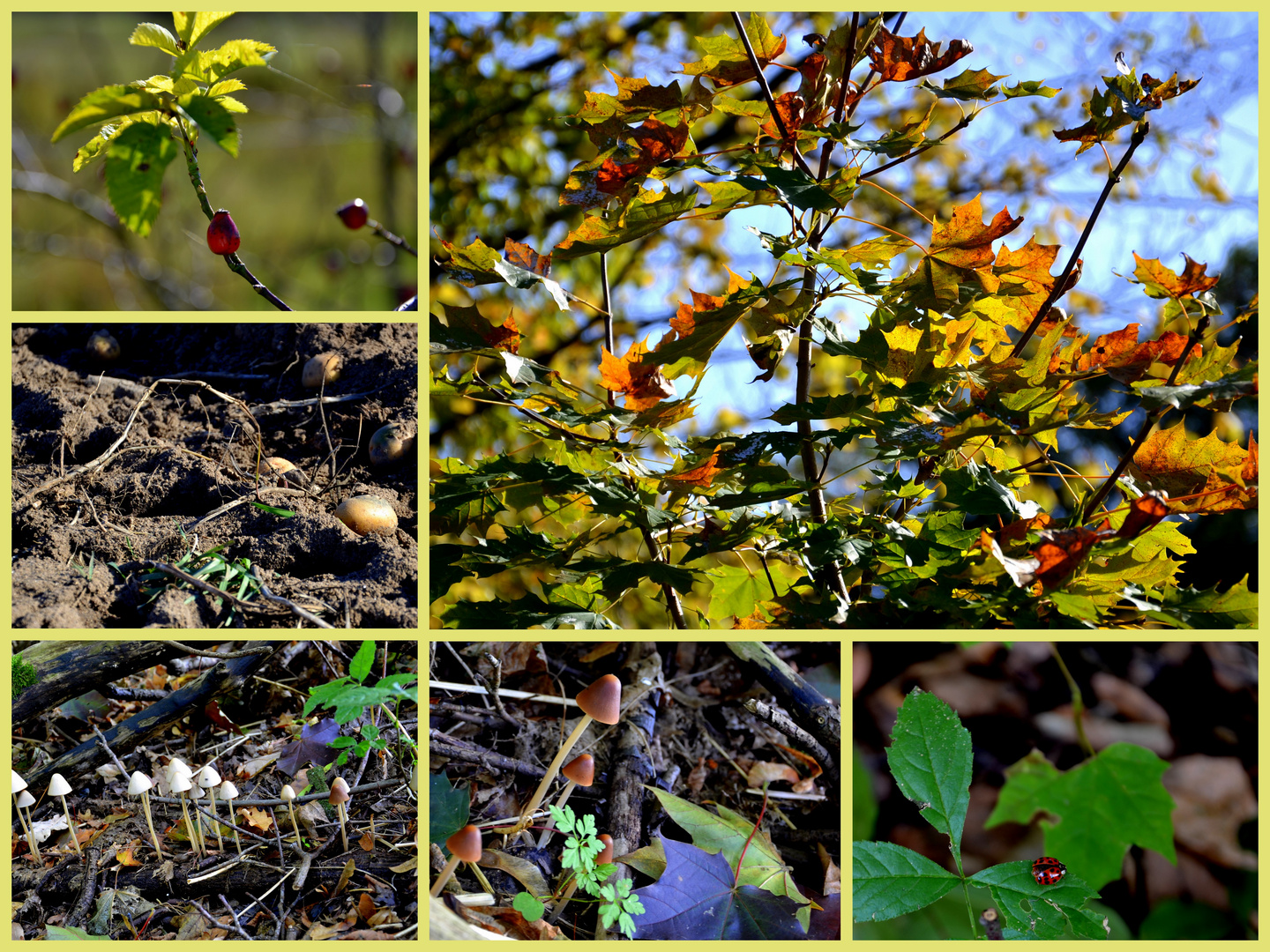 Ein sonniger Sonntag im Oktober.....