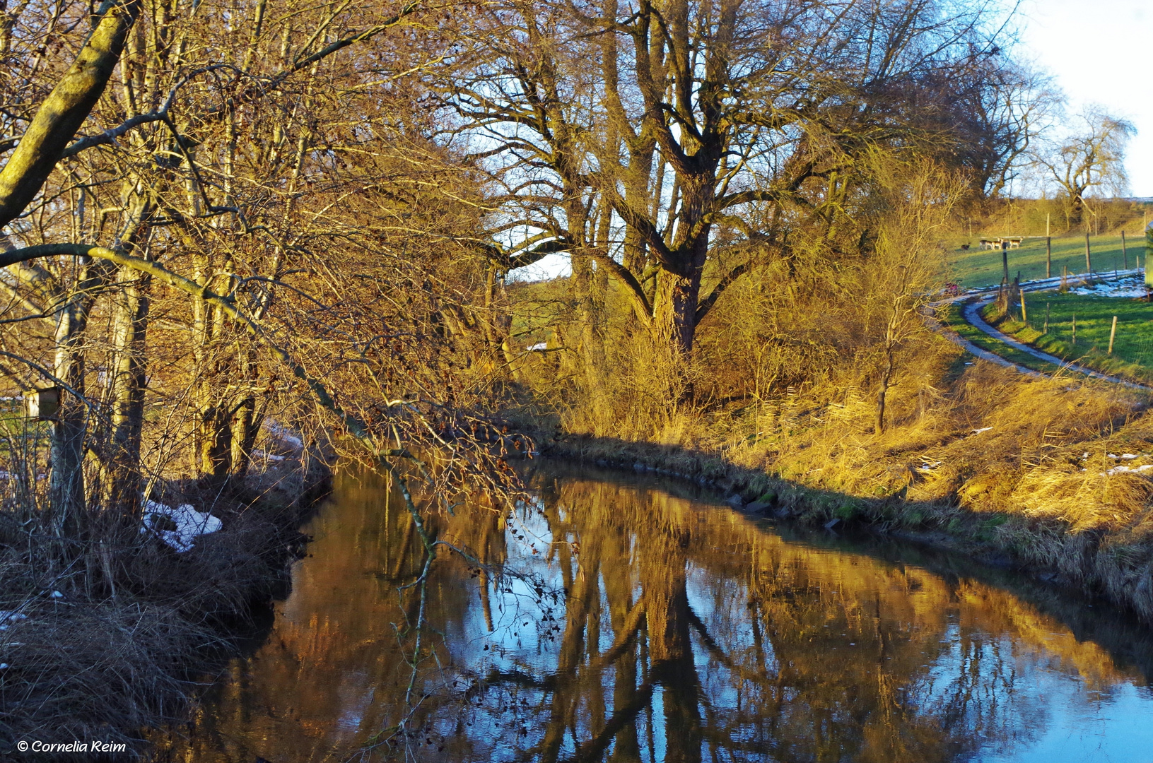 Ein sonniger Tag am Bach