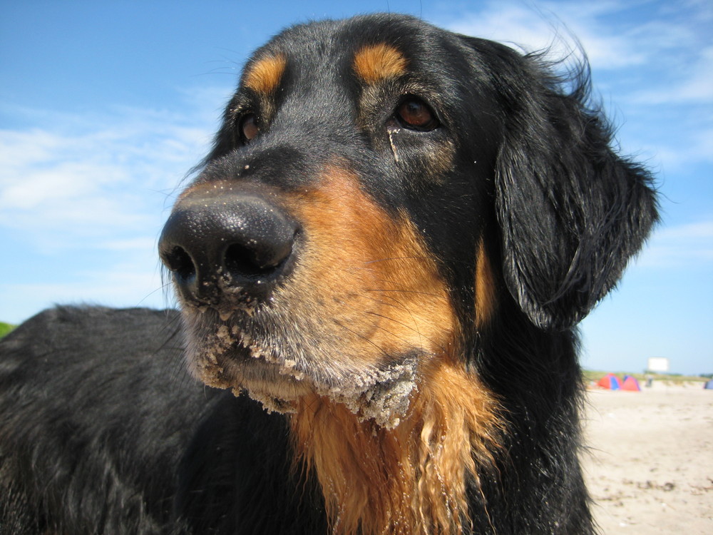 Ein sonniger Tag am Strand