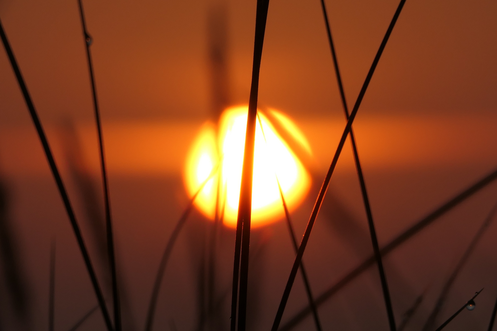 Ein sonniger Tag beginnt