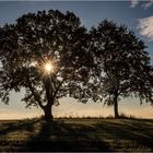 Ein sonniger Tag beginnt