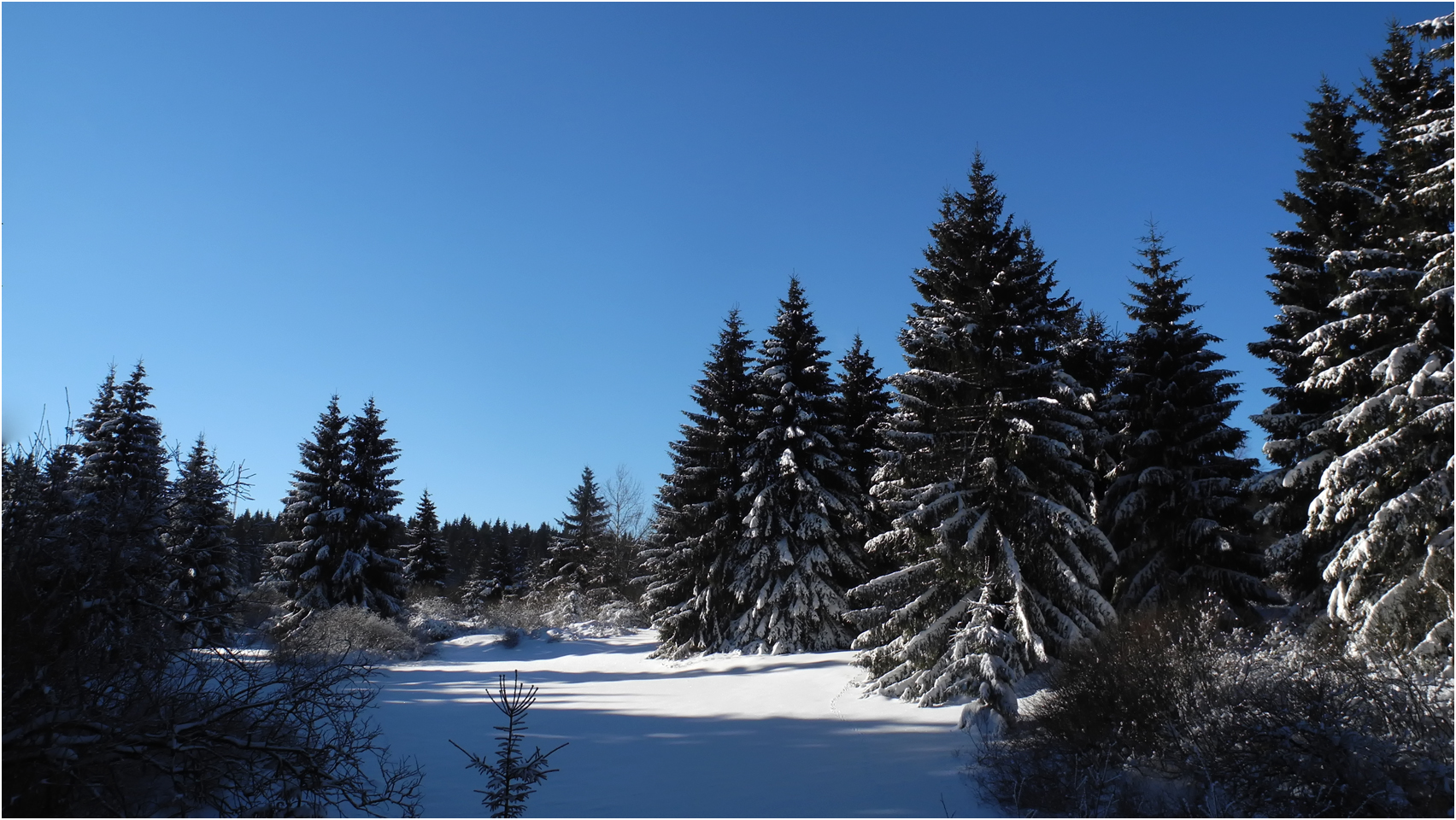 Ein sonniger Tag