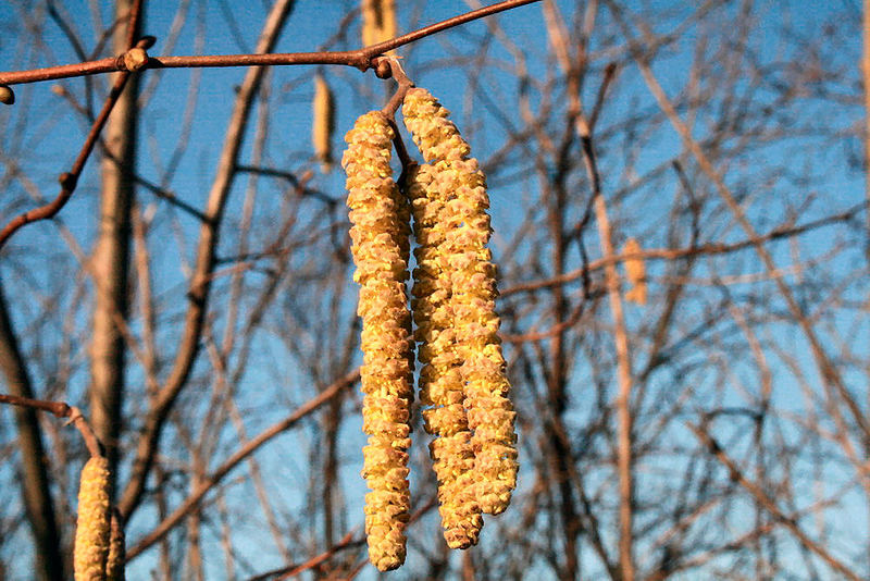 Ein sonniger Tag im Februar