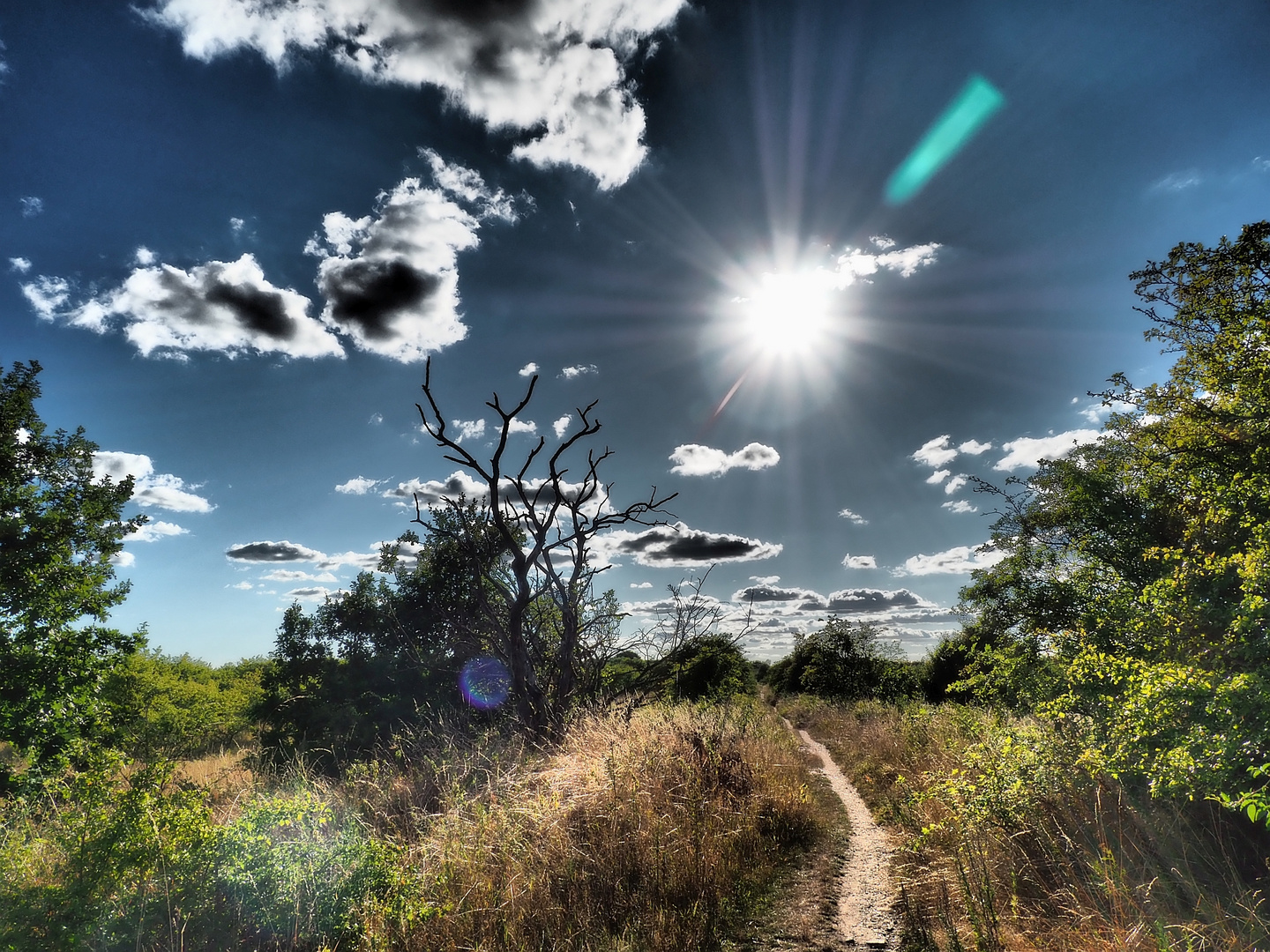 Ein sonniger Tag Im Naturschutzgebiet