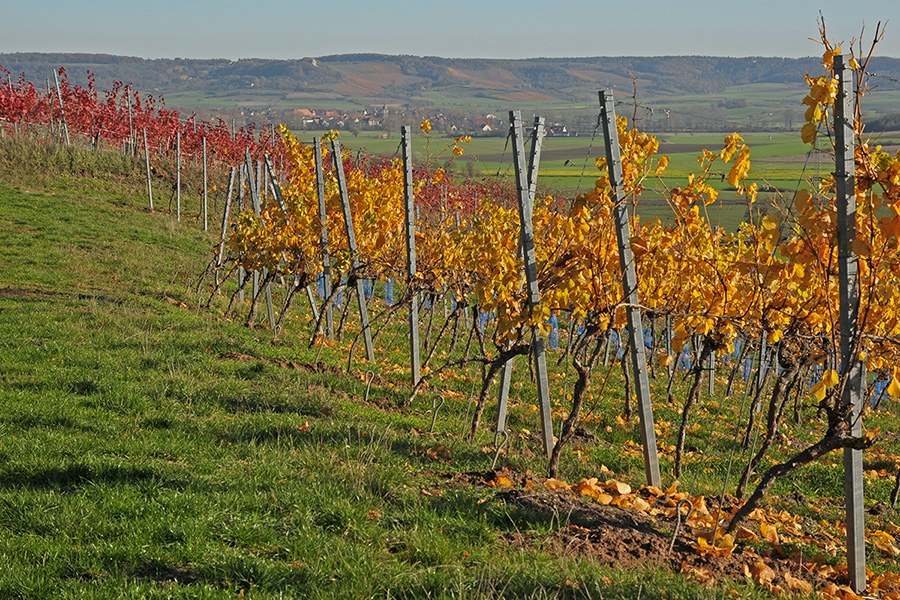 Ein sonniger Tag im November