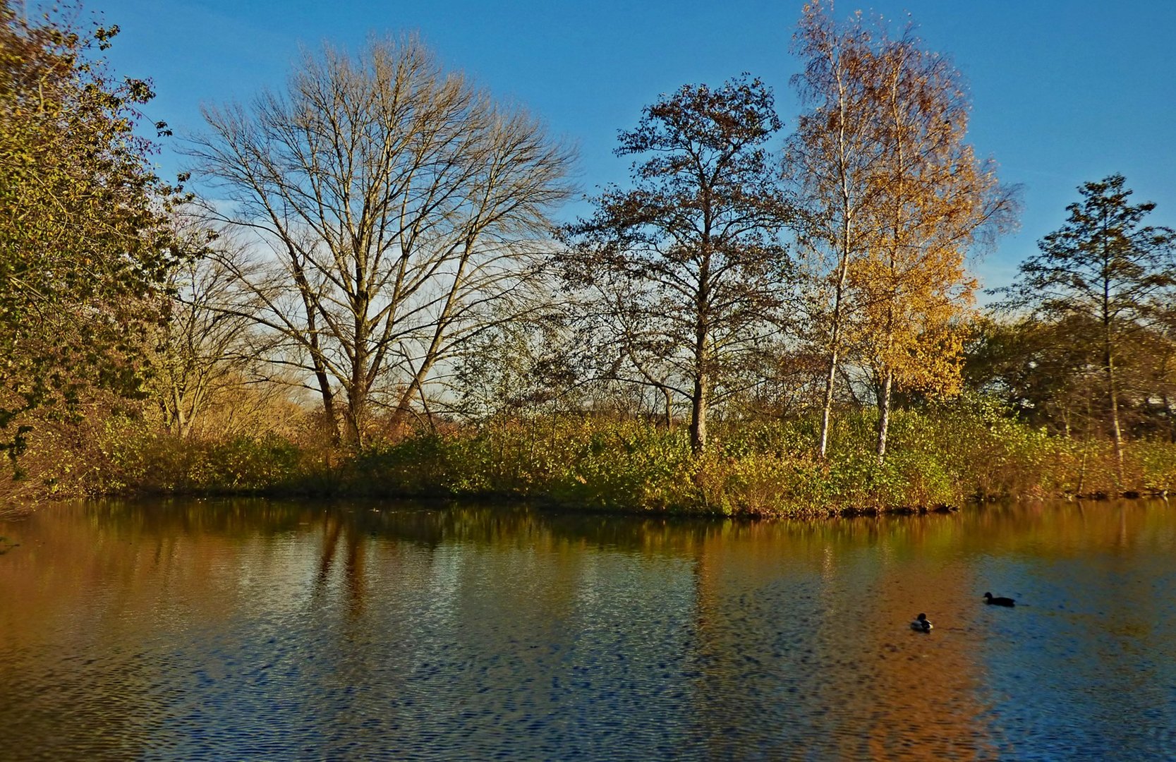 Ein sonniger Tag im Südpark Foto & Bild natur, landschaft, teich