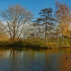 Ein sonniger Tag im Südpark