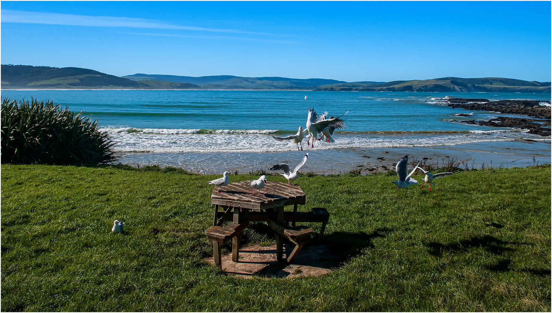 Ein sonniger Tag in Neuseeland