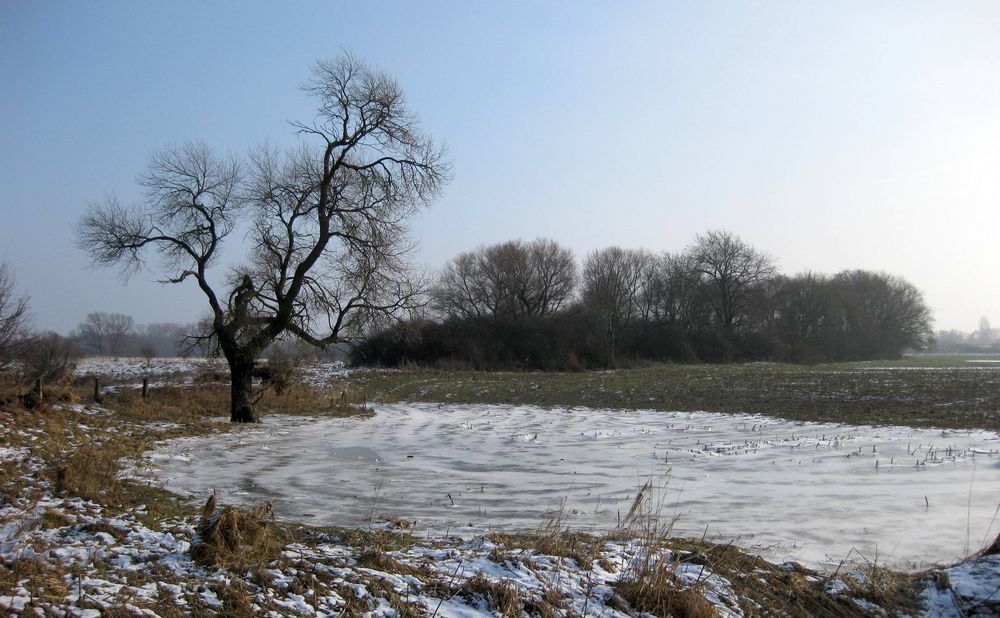 ein sonniger Wintertag