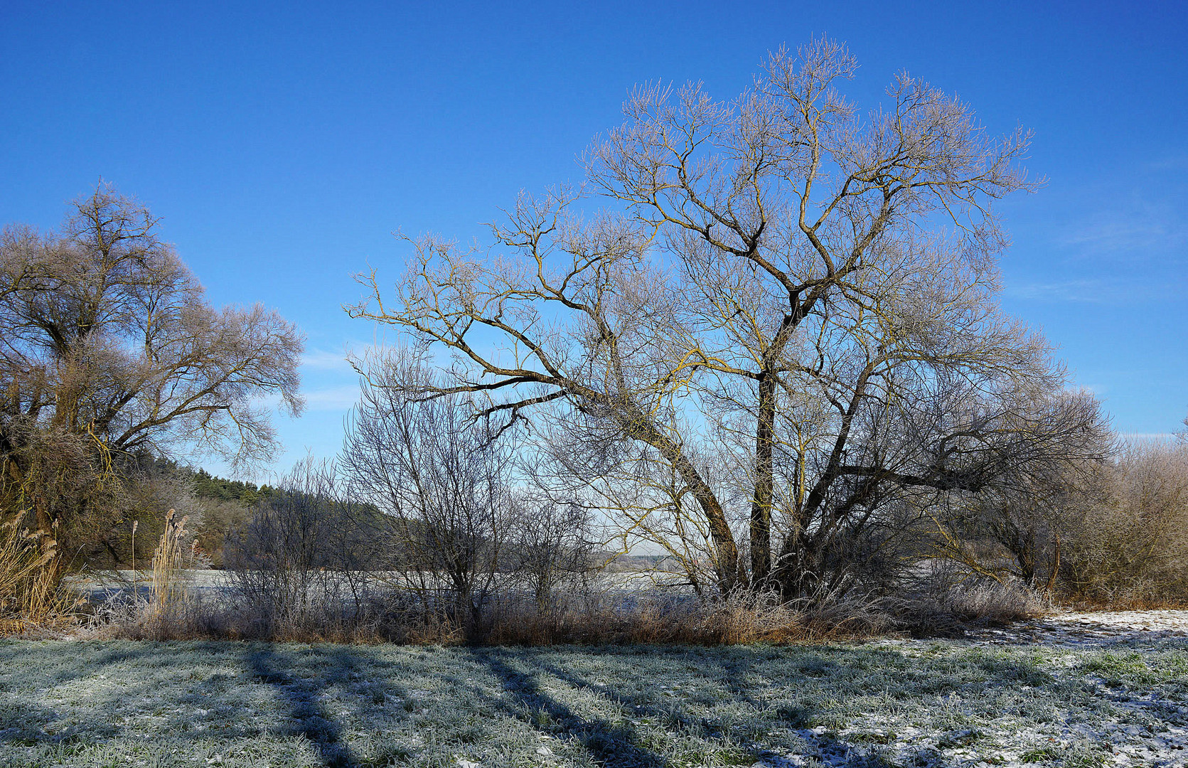 Ein sonniger Wintertag