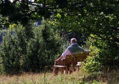 Ein sonniges Plätzchen