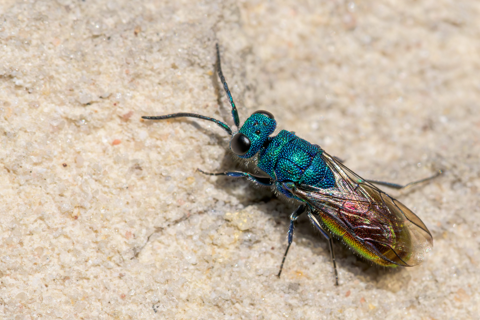 ein sonniges Plätzchen