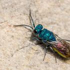 ein sonniges Plätzchen