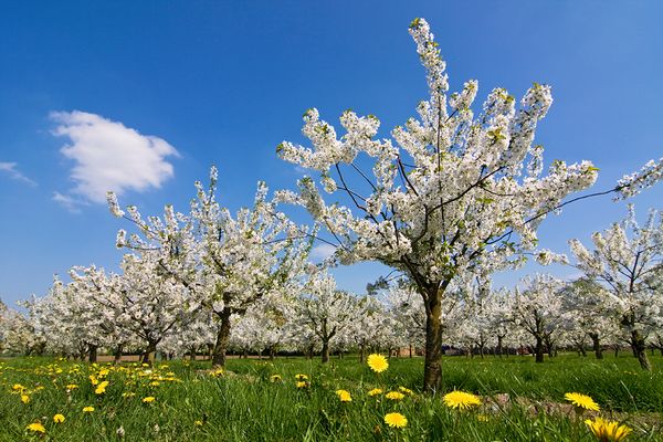Ein sonniges Wochenende