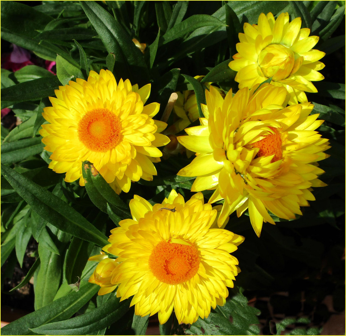 Ein Sonniges Wochenende Ein Sonniges Wochenende