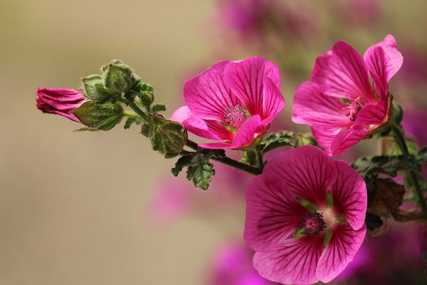 Ein sonniges Wochenende