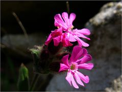 ein sonniges Wochenende