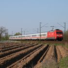 Ein Sonntag an der Bergstraße