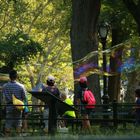 Ein Sonntag im Central Park