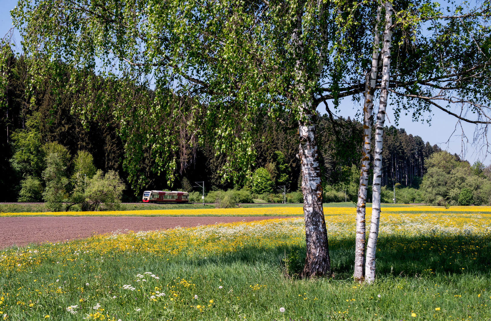 Ein Sonntag im Frühling