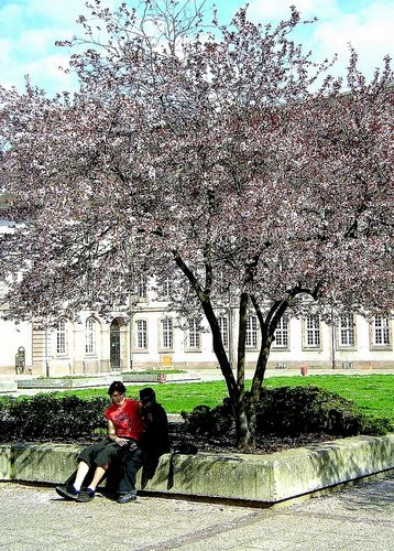 Ein Sonntag Im Frühling Für Verliebtes In Frankreich