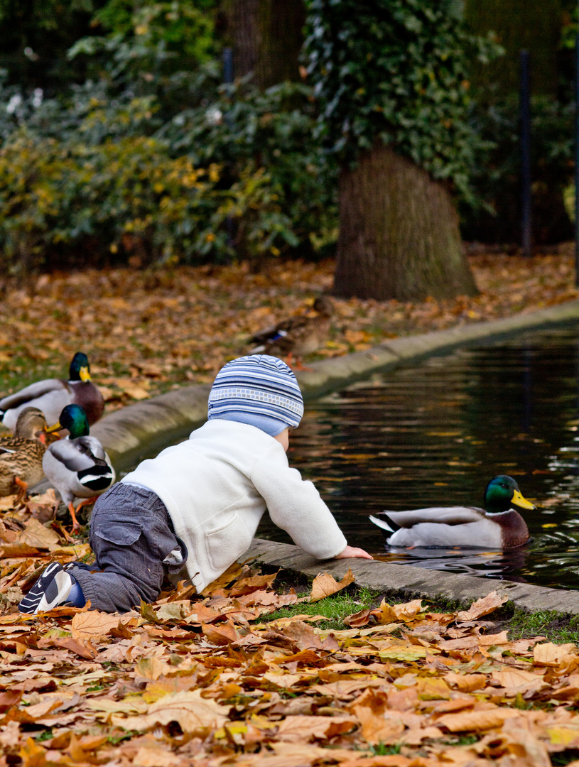 Ein Sonntag im Herbst