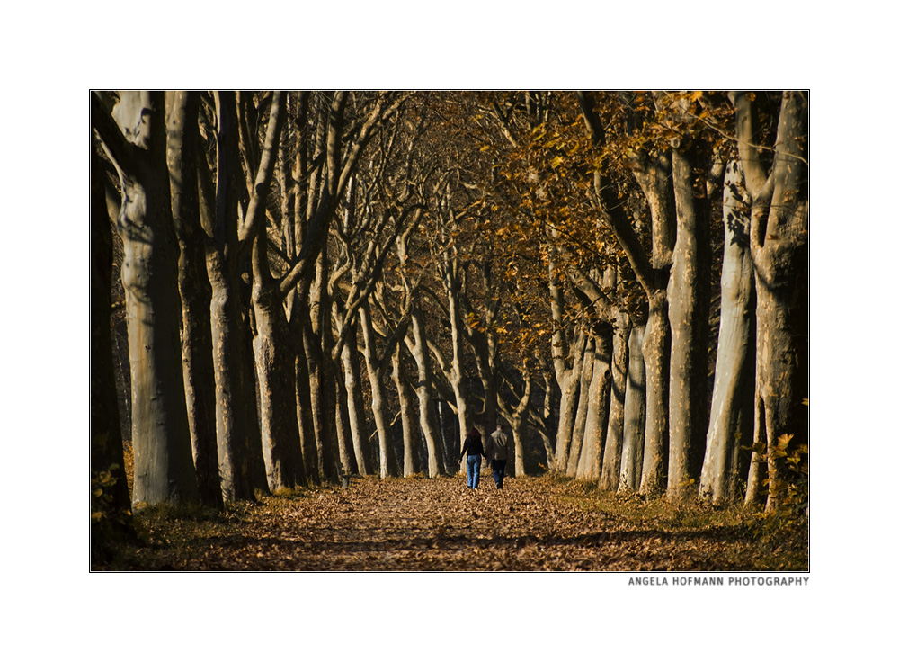 ein sonntag im herbst