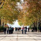 ein Sonntag im Herbst in Ronda