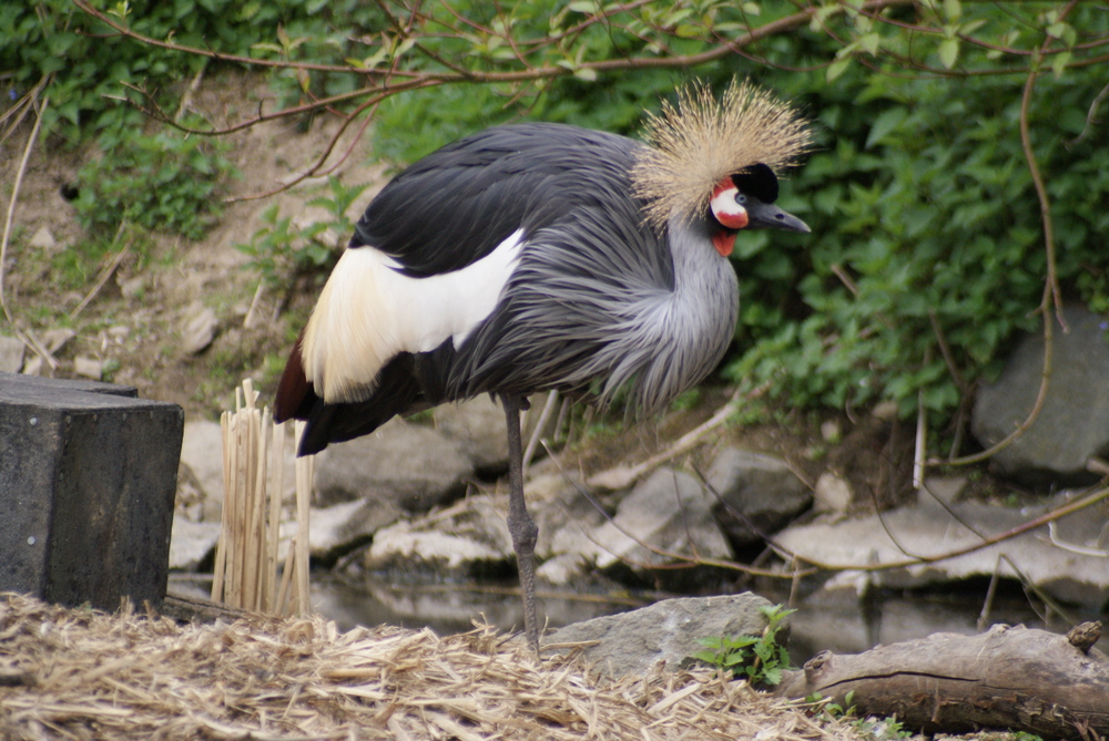 Ein Sonntag im Vogelpark Herborn