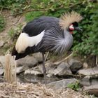 Ein Sonntag im Vogelpark Herborn