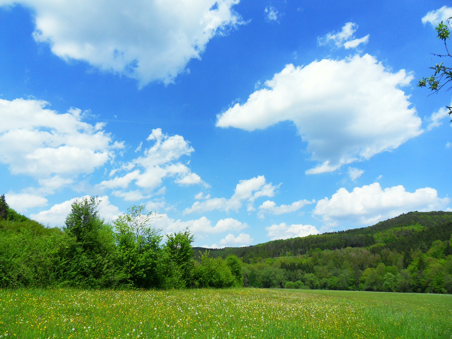 Ein Sonntag in der Eifel