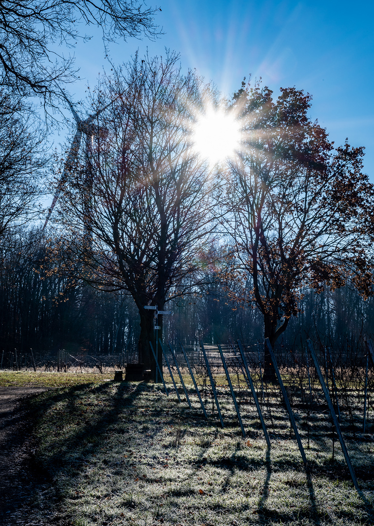 Ein Sonntag mit Sonne?