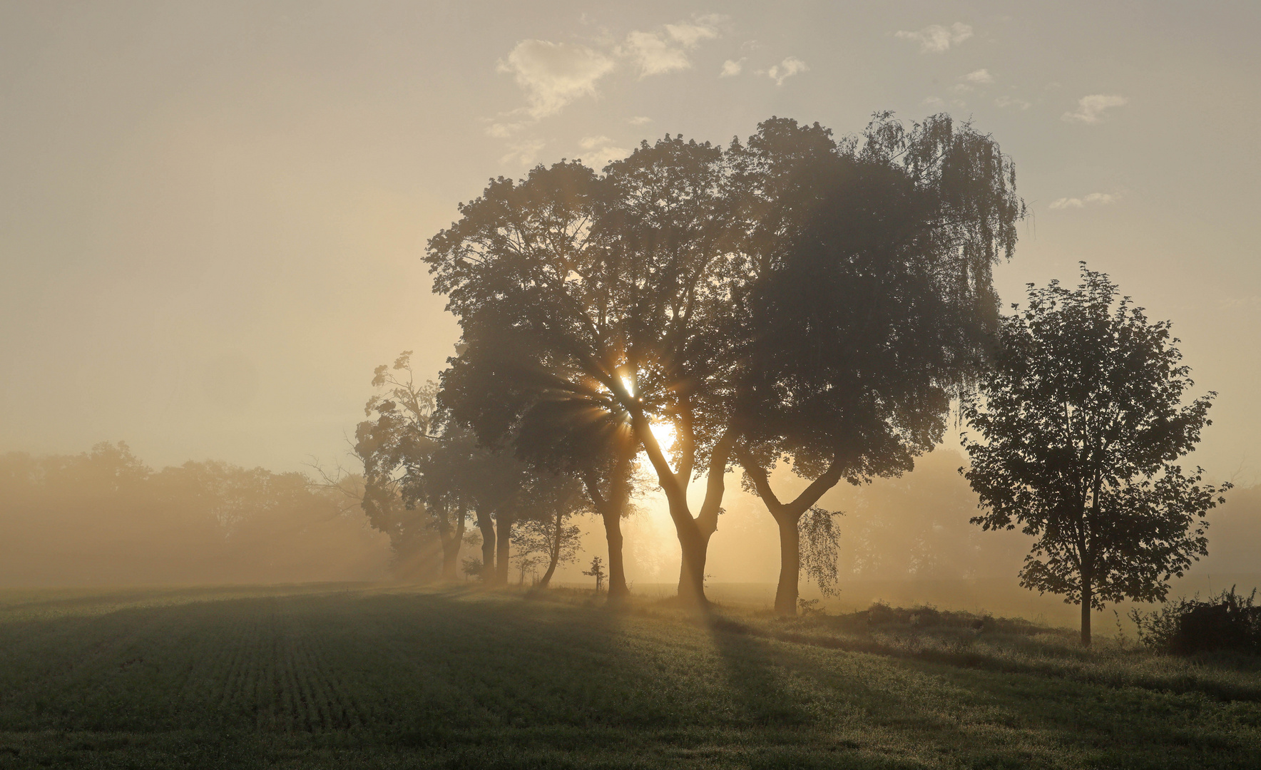 Ein Sonntag mit Sonne...