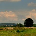 Ein Sonntagsgruß aus der Oberlausitz