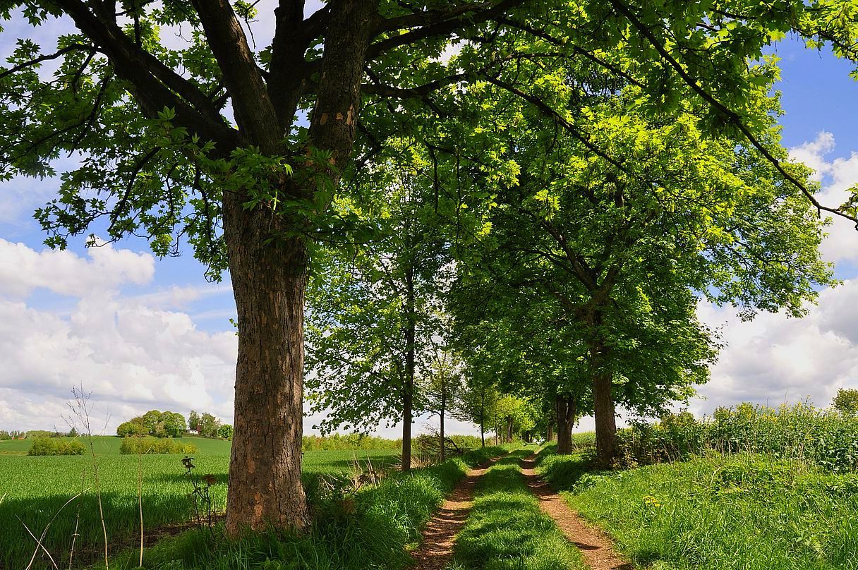 Ein Sonntagsspaziergang 