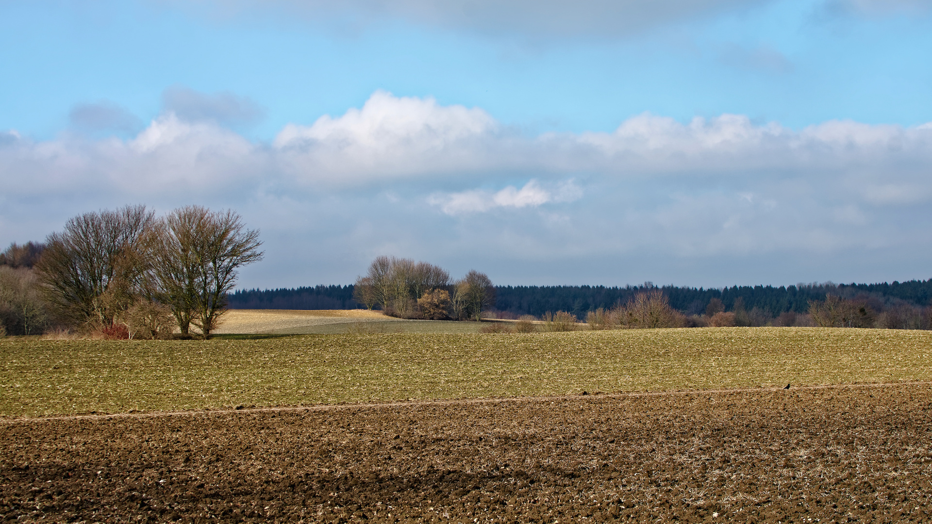 Ein Sonntagsspaziergang