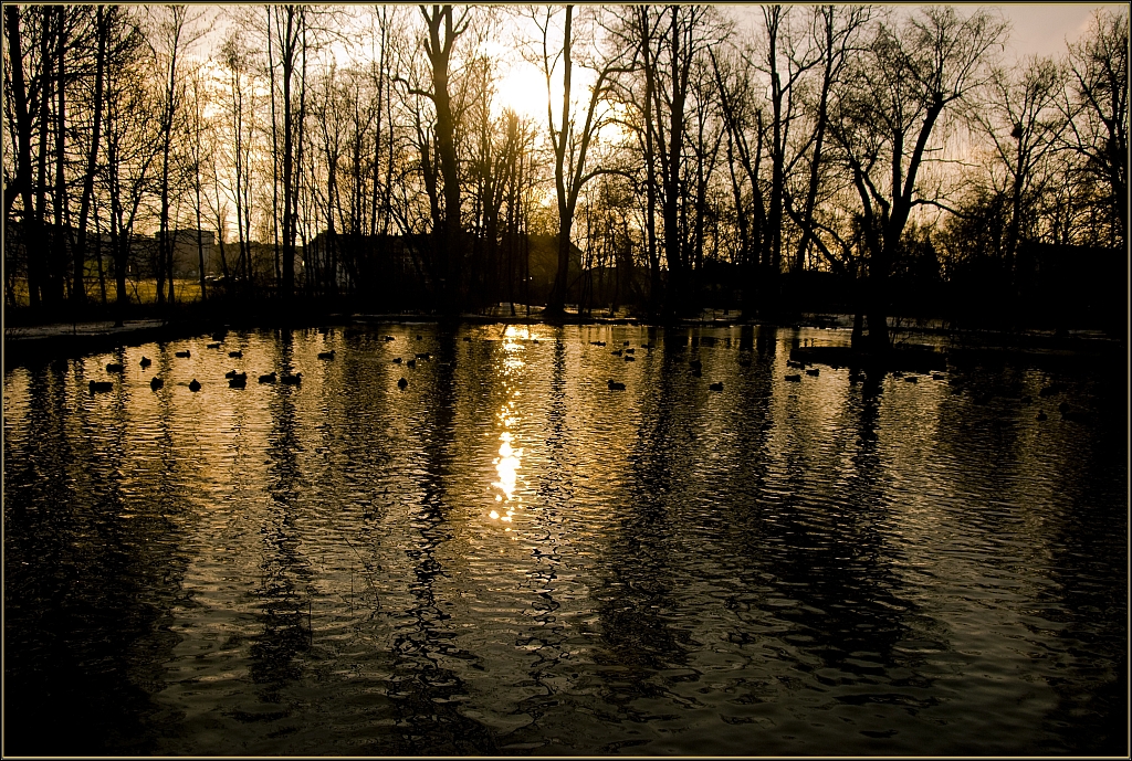 Ein später Winternachmittag am Teich !