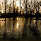 Ein später Winternachmittag am Teich !