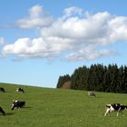 Ein Spätherbst-Tag im Hochschwarzwald...