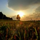 Ein Spätsommerabend