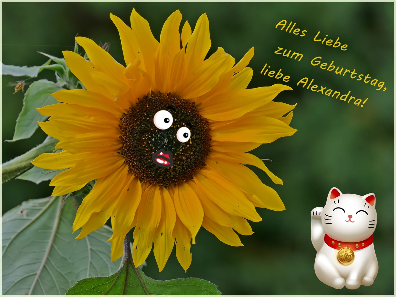 Ein Spätsommerkind  ...