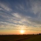 Ein spätsommerlicher Morgen am Niederrhein