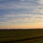 Ein spätsommerlicher Morgen am Niederrhein (Teil II)