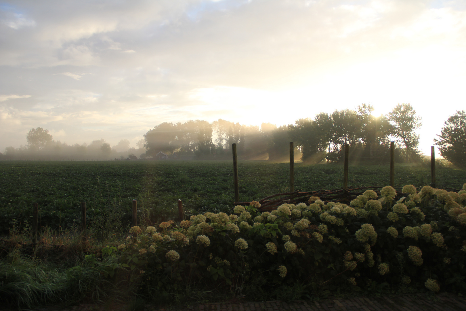 ein Spätsommermorgen auf Zeeland