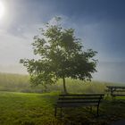 Ein Spätsommertag beginnt märchenhaft