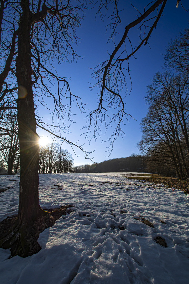 ein Spätwintertag..