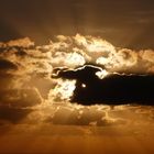 ...ein spanischer Stier in den Wolken?...