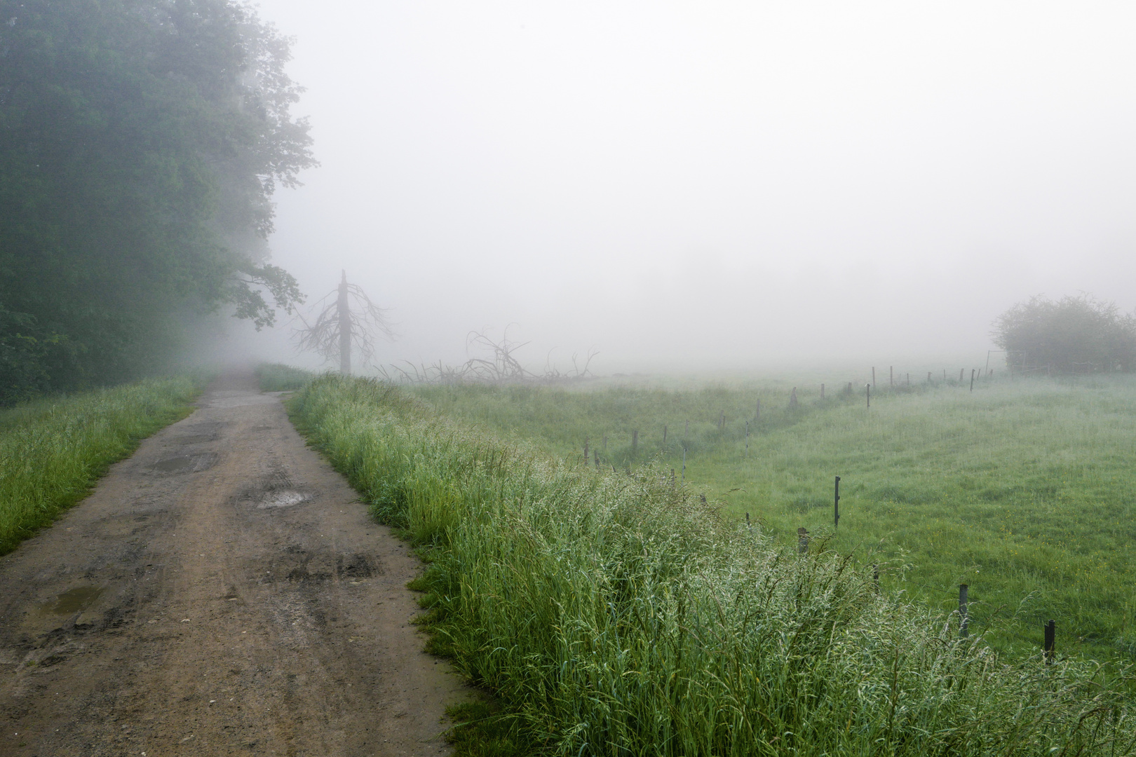 Ein Spaziergang