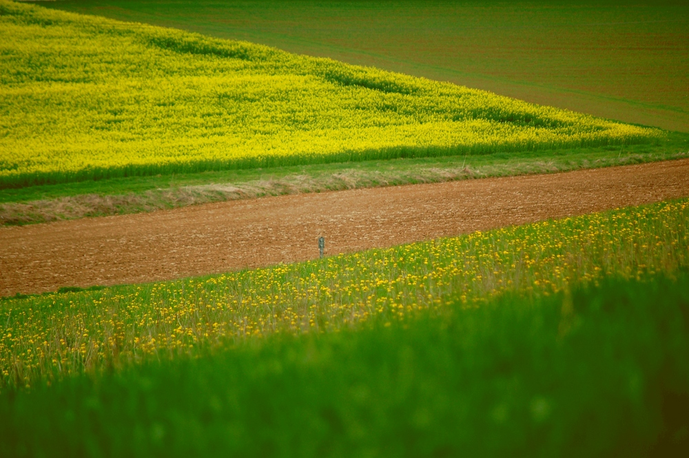 Ein Spaziergang...